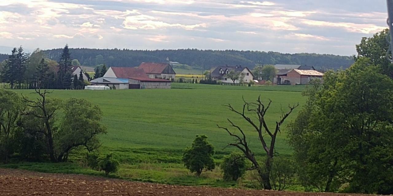 Palac Lucja Bb Zakrzów Exterior foto